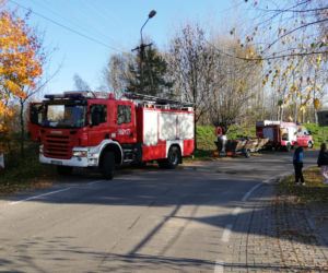 Makabryczne odkrycie w Siedlcu koło Radłowa