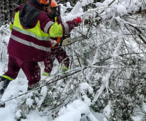 Atak zimy w Elblągu