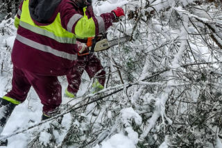 Atak zimy w Elblągu