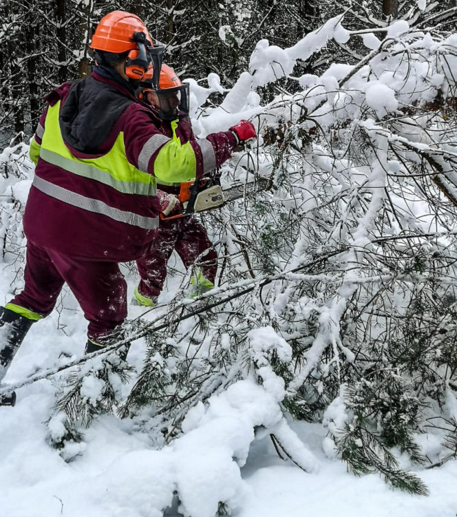 Atak zimy w Elblągu