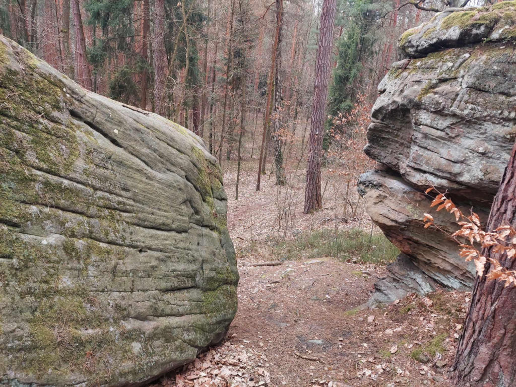 Rezerwat Przyrody "Skały pod Adamowem"