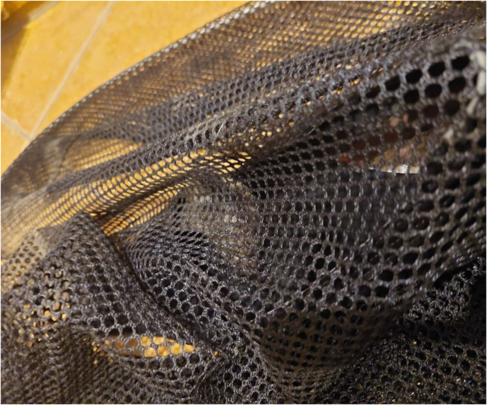 W szafce na buty słychać było syczenie. Kobieta wezwała straż miejską