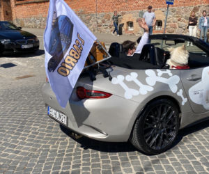 Ogólnopolskie Rozpoczęcie Sezonu Cabrio 2026 Olsztynek cz.2