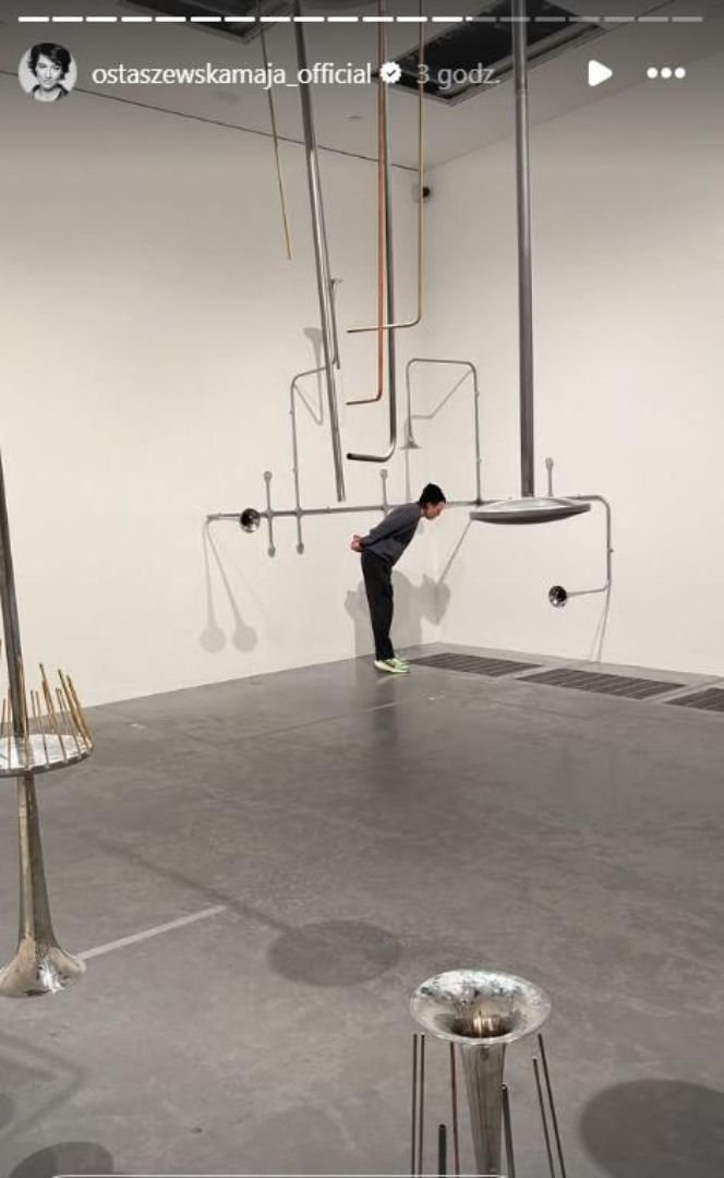 Maja Ostaszewska i Michał Englert