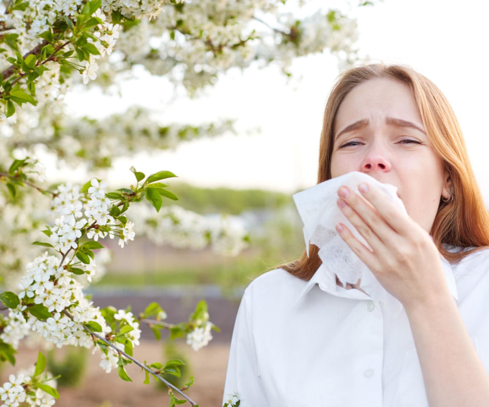 Młoda kobieta z alergią, kichająca w białą chusteczkę na tle kwitnących, obsypanych białymi kwiatami drzew. Czerwony nos i łzawiące oczy podkreślają uciążliwe objawy alergii w maju. O tym, co pyli w tym miesiącu, przeczytasz na Poradnik Zdrowie.