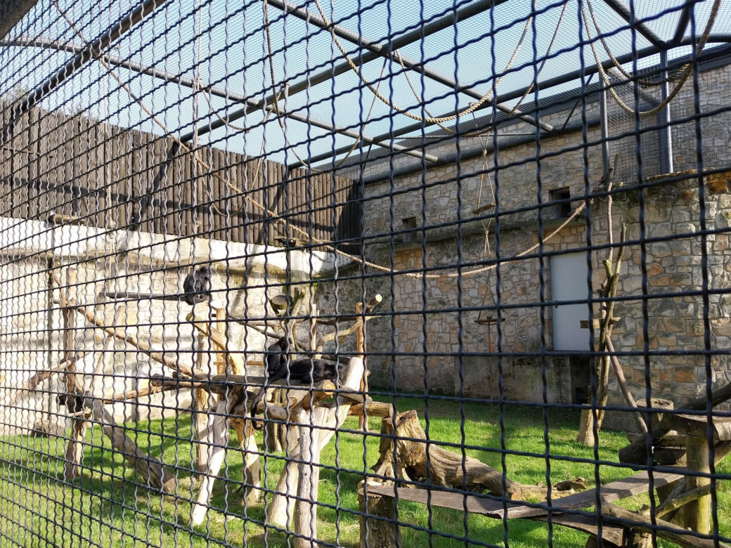 wiosenny spacer w zamojskim zoo