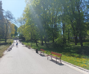 Wiosna w Lublinie