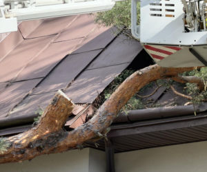 Powalone drzewa i awarie prądu w części województwa