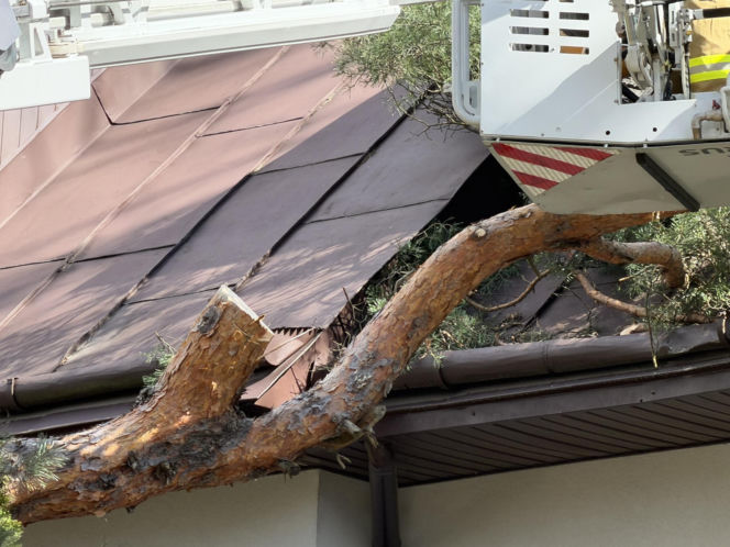 Powalone drzewa i awarie prądu w części województwa