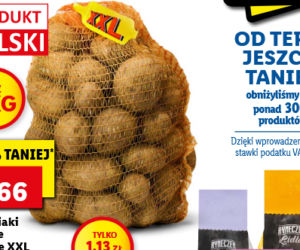 Sobota w Lidlu