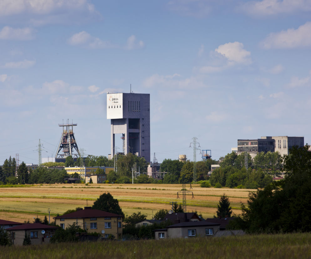 Borynia