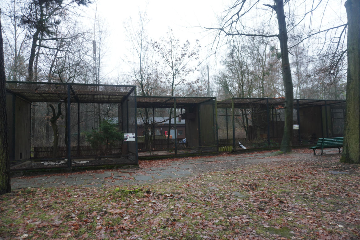 Zoo w Poznaniu zimą
