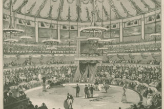 Cyrk Braci Staniewskich