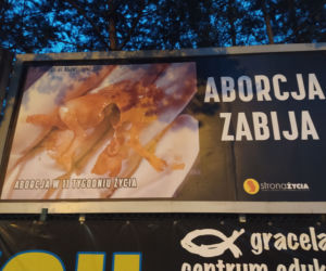 Makabryczne zdjęcia zasłonięte