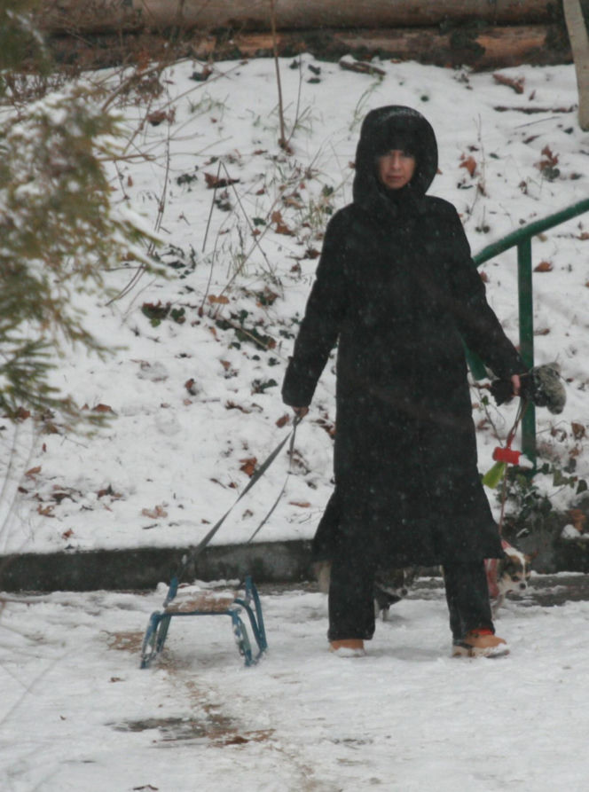 Marta Kaczyńska z synem i psami na sankach w lesie