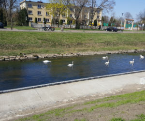 Bulwary Czarnej Przemszy w Będzinie