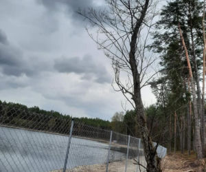 Jezioro Wielkie Oczko ogrodzone płotem. Zwierzęta odcięte od wody. Radny Gdańska: Takiej dewastacji dawno nie widziałem