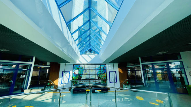 Biblioteka Śląska projektu Juranda Jareckiego, Marka Gierlotki i Stanisława Kwaśniewicza w Katowicach