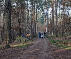 Popularne miejsca spacerowe w Toruniu