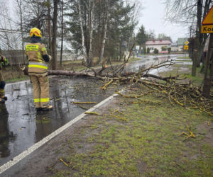Interwencje Strażaków przy likwidacji szkód spowodowanych przez gwałtowny wiatr i burze