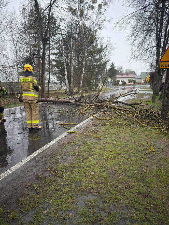 Interwencje Strażaków przy likwidacji szkód spowodowanych przez gwałtowny wiatr i burze