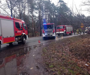 Poważny wypadek na granicy Torunia i gminy Zławieś Wielka. Trzy osoby ranne