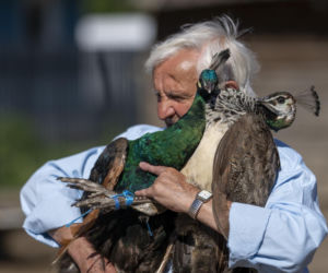 Gienek i Jastrząb zobaczyli góry