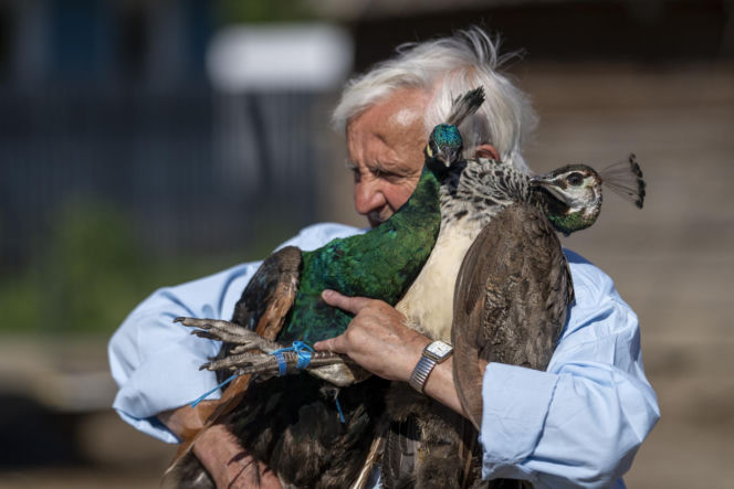 Gienek i Jastrząb zobaczyli góry