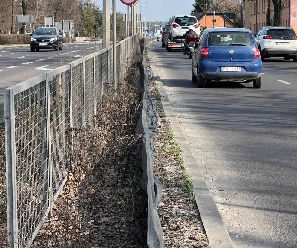 Utrudnienia w ruchu na Alejach Jana Pawła II. Ruszają prace przy zieleni