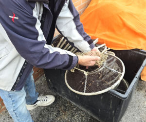 Turystyka rybacka w Cesenatico. Włoskie wybrzeże kusi polskich turystów