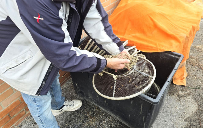 Turystyka rybacka w Cesenatico. Włoskie wybrzeże kusi polskich turystów