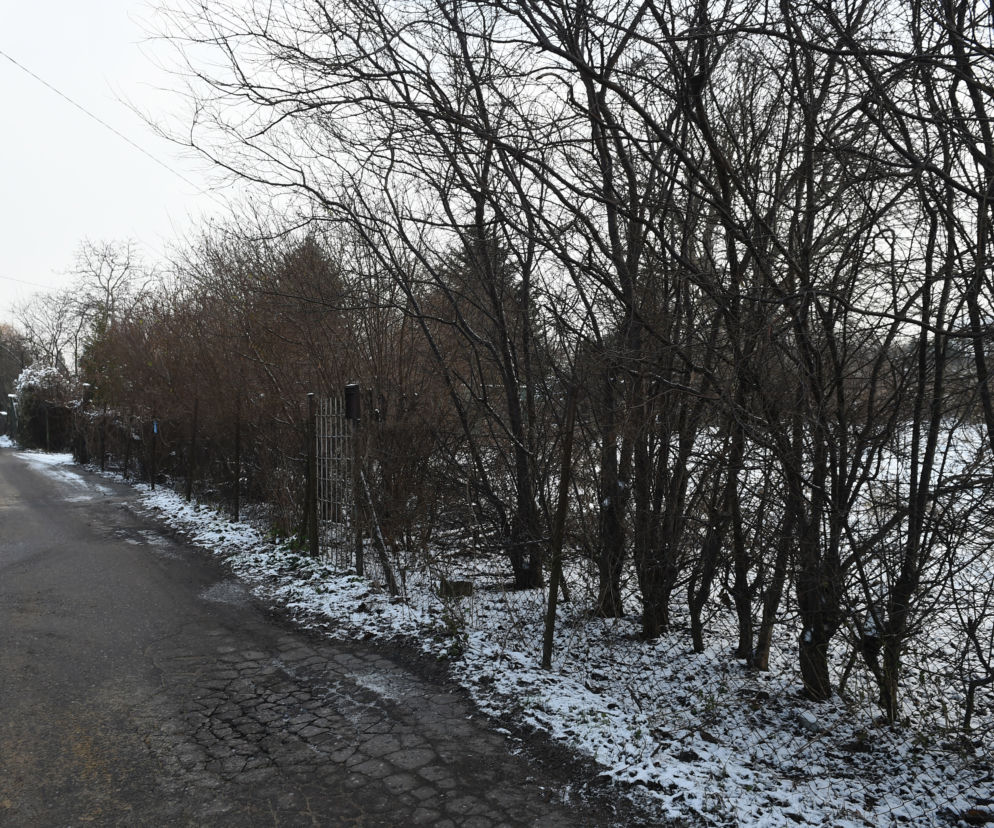 Poszukiwania Iwony Wieczorek