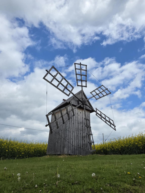 Bystrzyca wiatrak