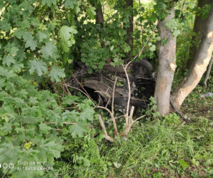Wypadek w  Boniowicach. 21-latek i 12-latek zostali ciężko ranni