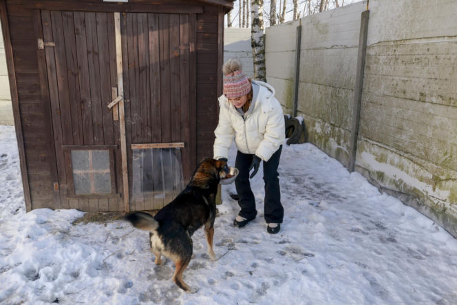 Marta Krupa z pomocą dla zwierząt. Nakarmiła psy i koty w potrzebie
