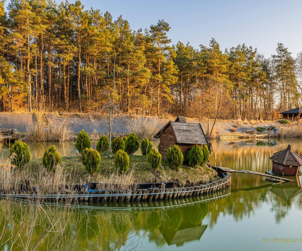 Gdzie na ryby w świętokrzyskim? Zbiornik Bilówka to coś więcej niż wędkarstwo