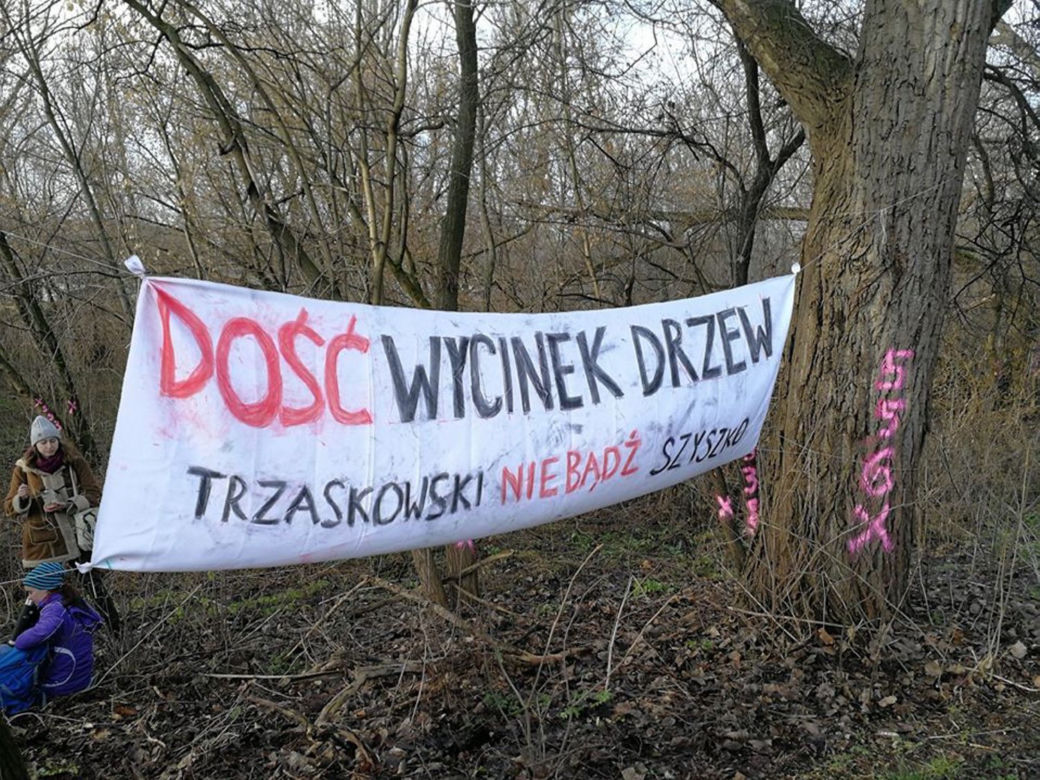 Protest przeciwko wycince drzew
