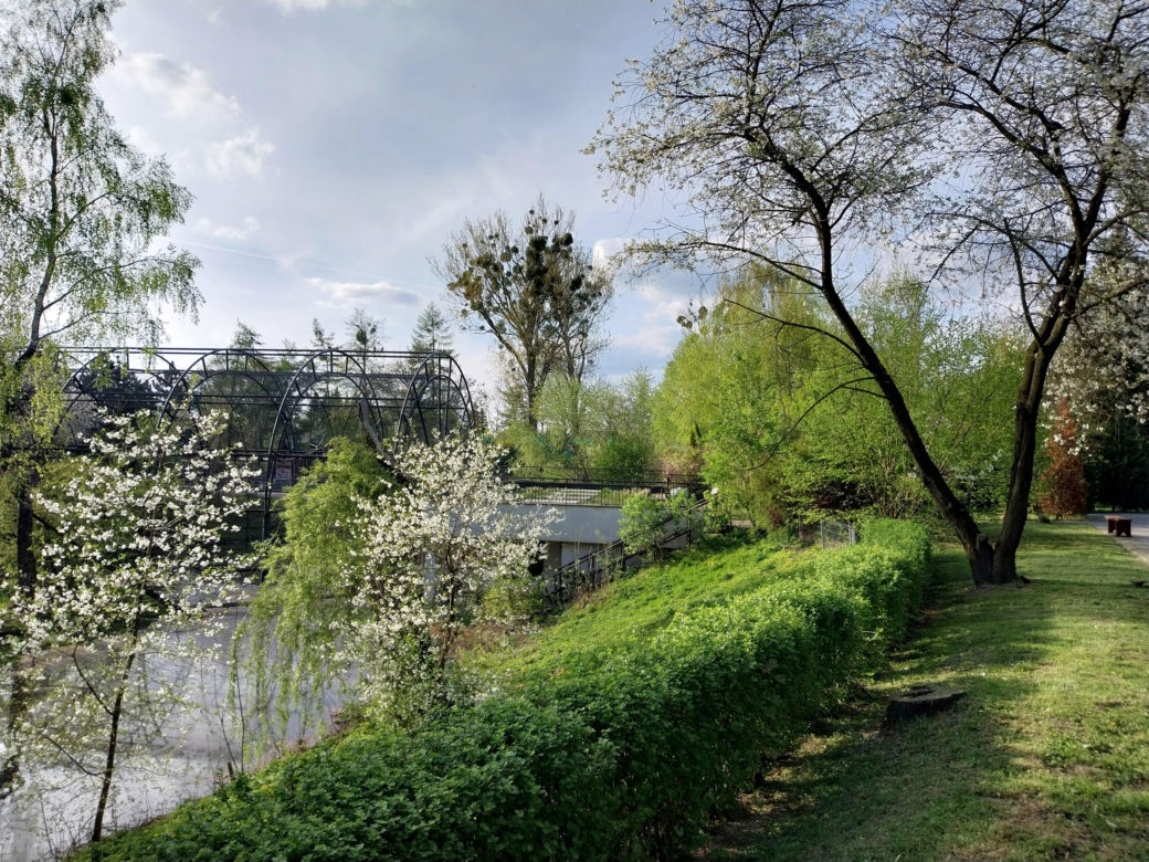 Wiosenny spacer w zamojskim zoo