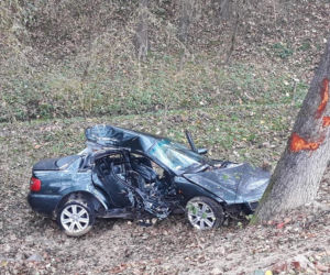 Libusza. Osobówka wypadła jezdni prosto na drzewo! W środku dwie zakleszczone osoby