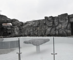 Pingwiny wracają do Śląskiego ZOO