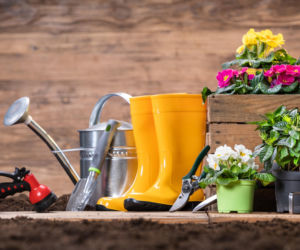 Ogród przygotowany do sezonu. Tyle zapłacimy za węże, donice, drabiny i sekatory 