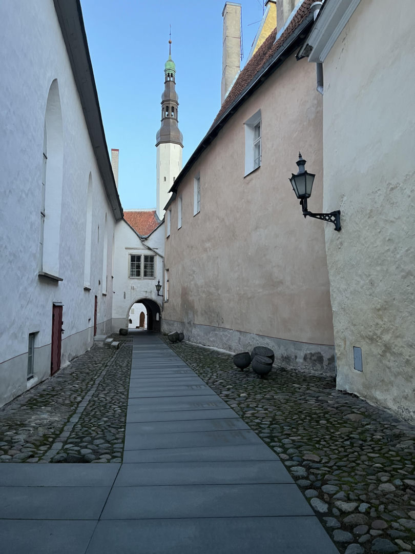Teatr Miejski w Tallinie, proj. Salto arhitektuuribüroo
