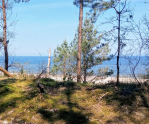 Rowerzyści kontra naturyści. Słynna naga plaża przestanie istnieć?