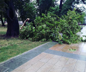 Skutki burzy w Lublinie [ZDJĘCIA] 