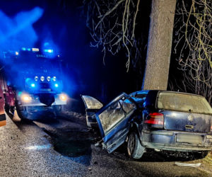 Na zakręcie pojechali prosto, ze sobą wieźli dwa duże psy. Czy któryś z nich ugryzł kierowcę?