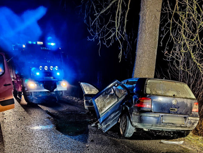 Na zakręcie pojechali prosto, ze sobą wieźli dwa duże psy. Czy któryś z nich ugryzł kierowcę?
