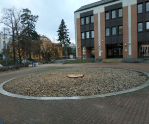 Wieloletni klon w Centrum Olsztyna wycięty.