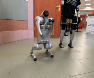 Robo-pies w Akademii Nauk Stosowanych w Nowym Sączu