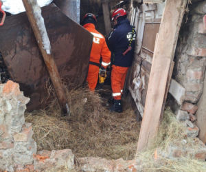 Dach stodoły runął pod naporem śniegu. W środku były zwierzęta