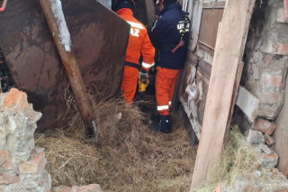 Dach stodoły runął pod naporem śniegu. W środku były zwierzęta